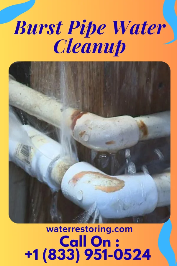 Burst Pipe Water Cleanup in Christiansburg, OH