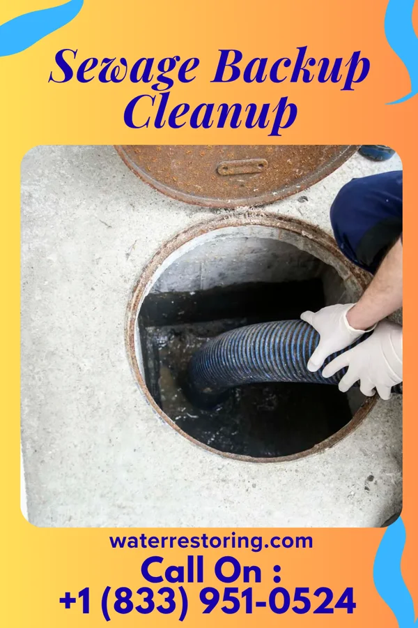 Sewage Backup Cleanup in Christiansburg, OH
